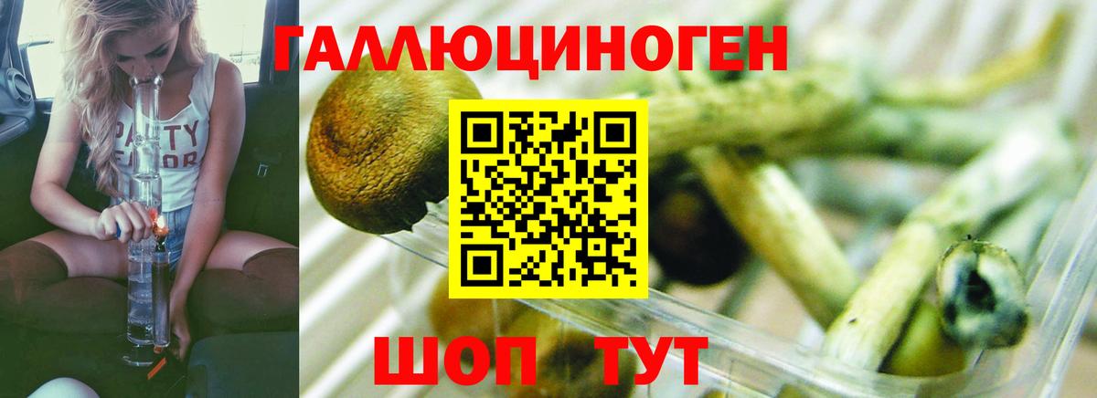 Кумертау  дарнет шоп  Псилоцибиновые грибы мухоморы  Вход с VPN  Галлюциногенные грибы Cubensis 