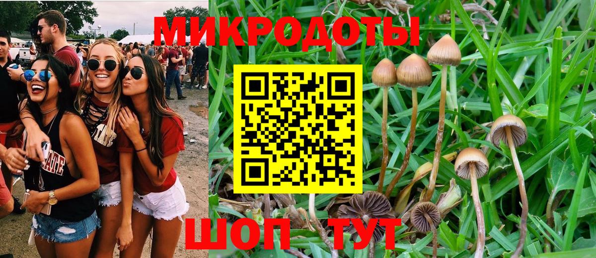 Псилоцибиновые грибы ЛСД Кумертау